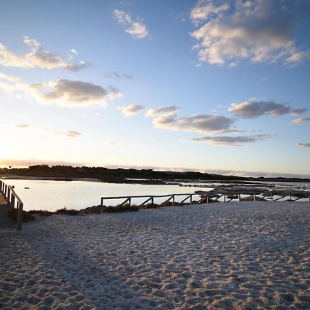 Agriturismo Al Riparo Dai Venti 斯廷蒂诺 外观 照片